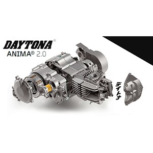 JOINT TORIQUE DE CACHE CULASSE DAYTONA ANIMA 150/190