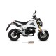 SILENCIEUX LEOVINCE GP-CORSA ALU/INOX HONDA MSX 125/URBAN 125